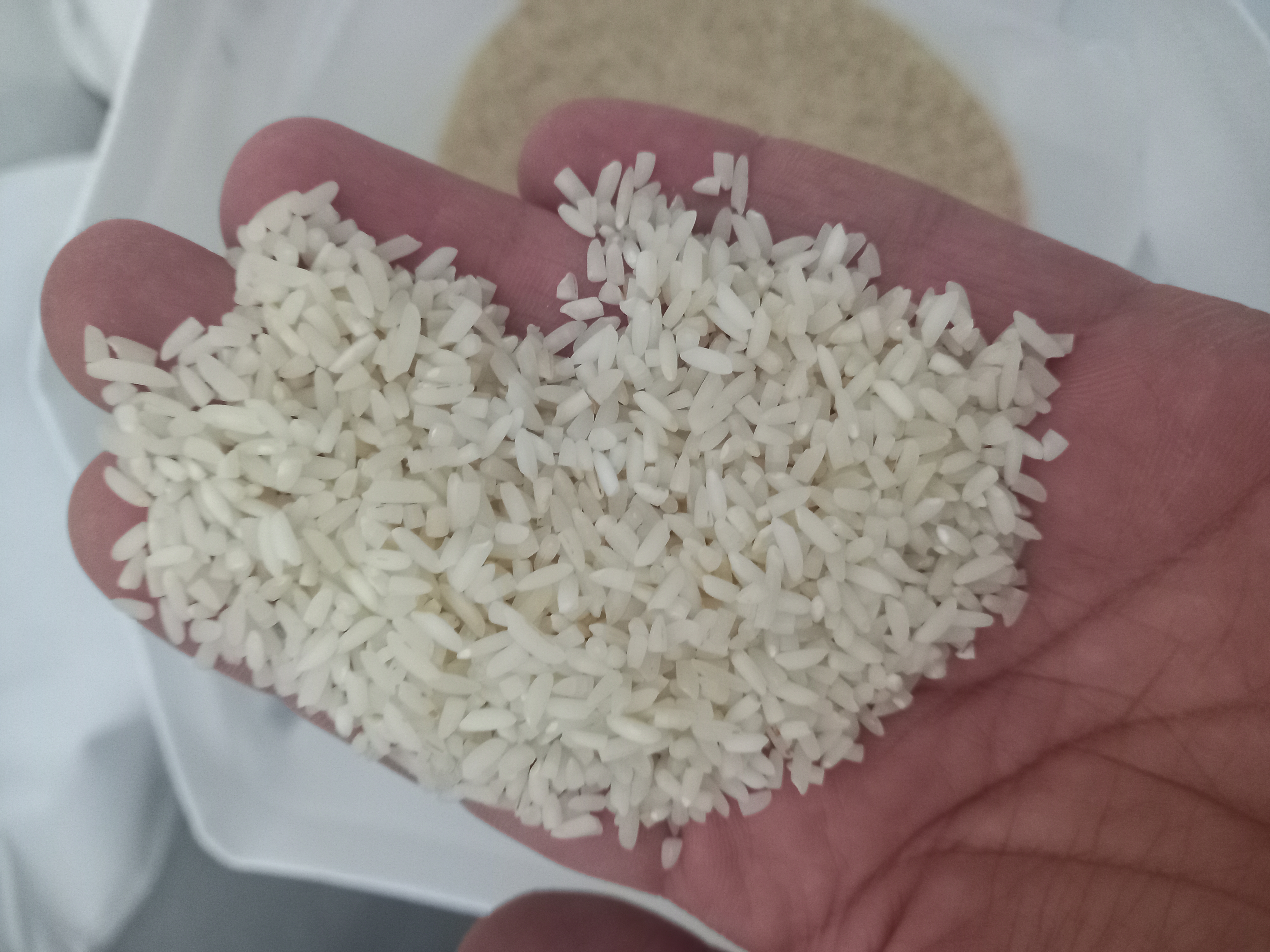سرلاشه عادی اعیونی صادراتی کشت دوم 10 کیلویی