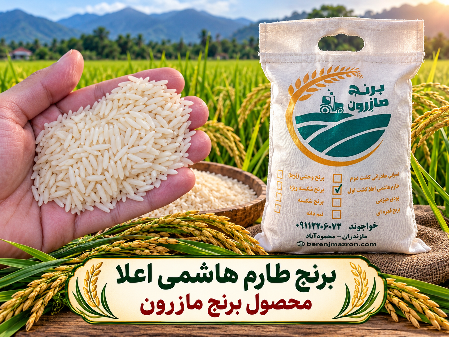 طارم هاشمی اعلا کشت اول امساله ۱۰ کیلویی